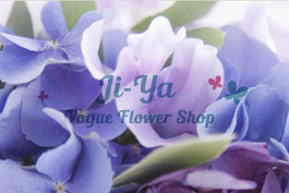 Ji Ya＊Flower 